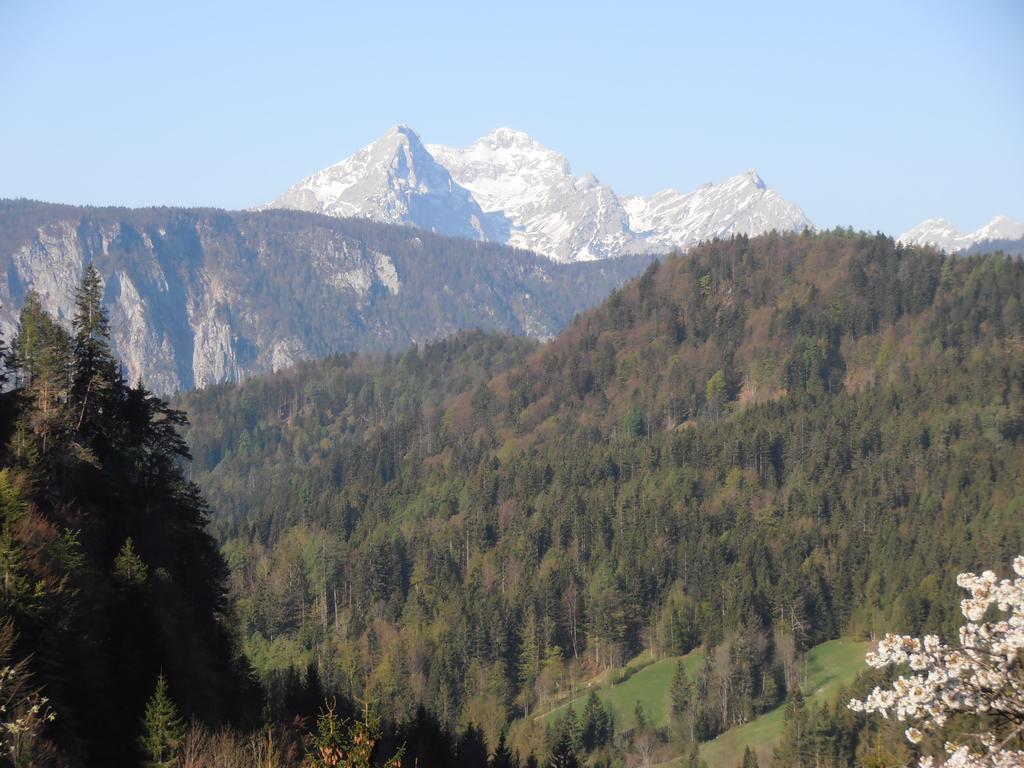Penzion Pr' Betel Jesenice Exterior foto